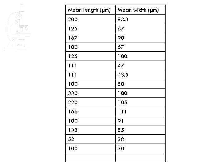 Mean length (µm) Mean width (µm) 200 83. 3 125 67 167 90 100