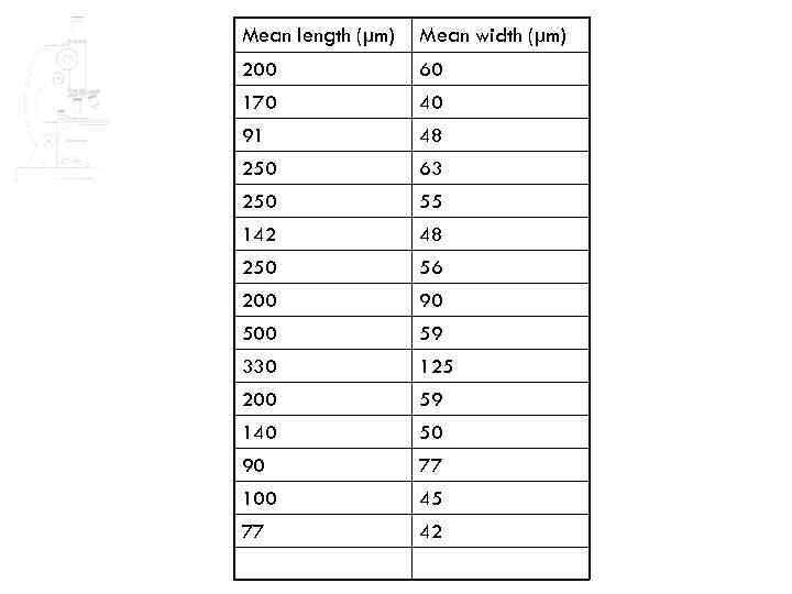 Mean length (µm) Mean width (µm) 200 60 170 40 91 48 250 63