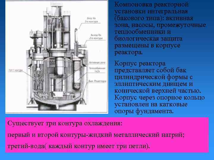 Компоновка реакторной установки интегральная (бакового типа): активная зона, насосы, промежуточные теплообменники и биологическая защита