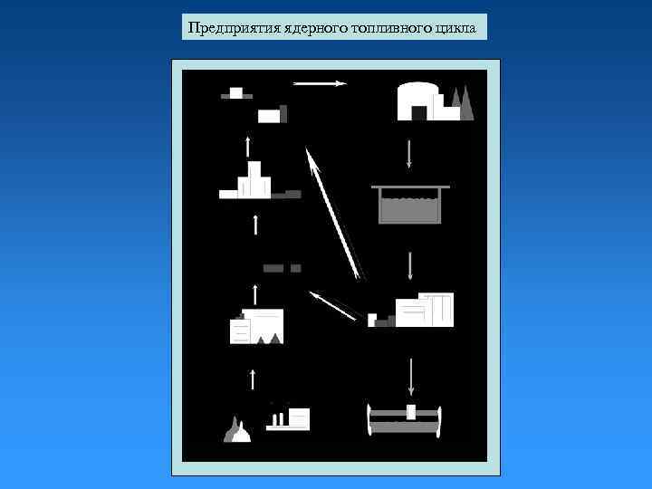 Предприятия ядерного топливного цикла 