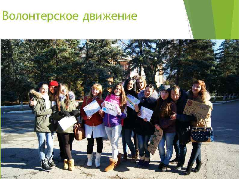 Волонтерское движение 