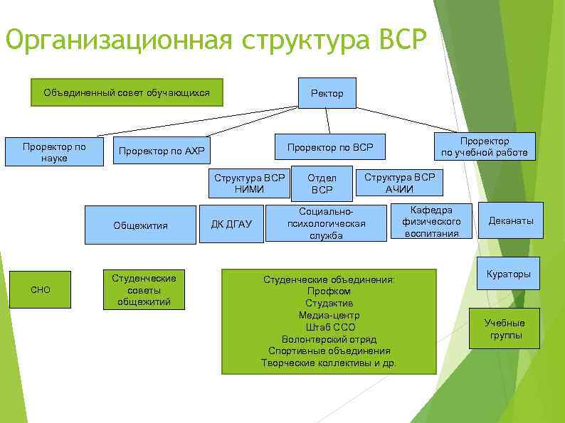 Ректор проректор декан схема