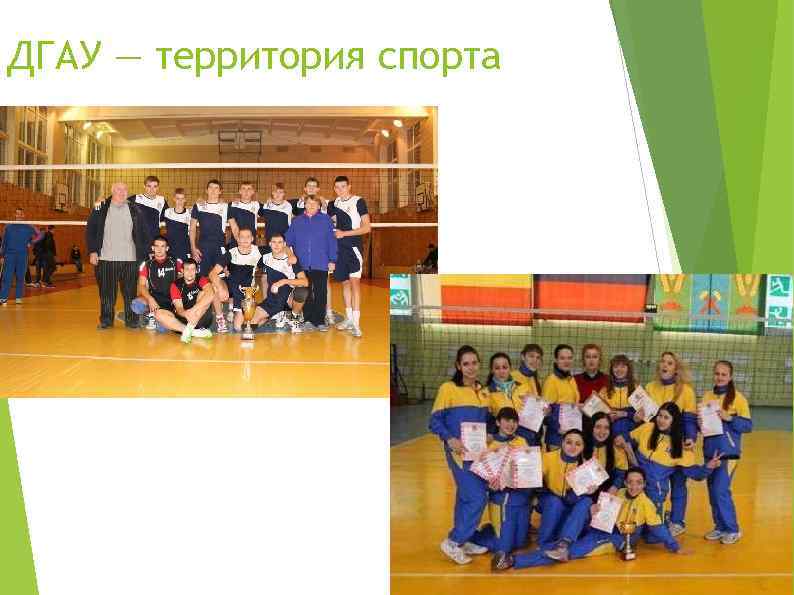 ДГАУ — территория спорта 