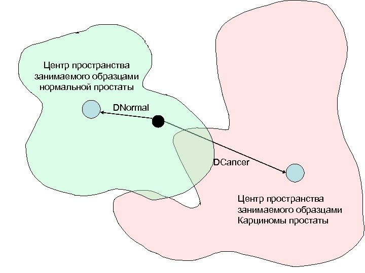 Центр пространства занимаемого образцами нормальной простаты DNormal DCancer Центр пространства занимаемого образцами Карциномы простаты