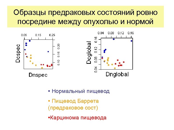 Образцы предраковых состояний ровно посредине между опухолью и нормой • Нормальный пищевод • Пищевод