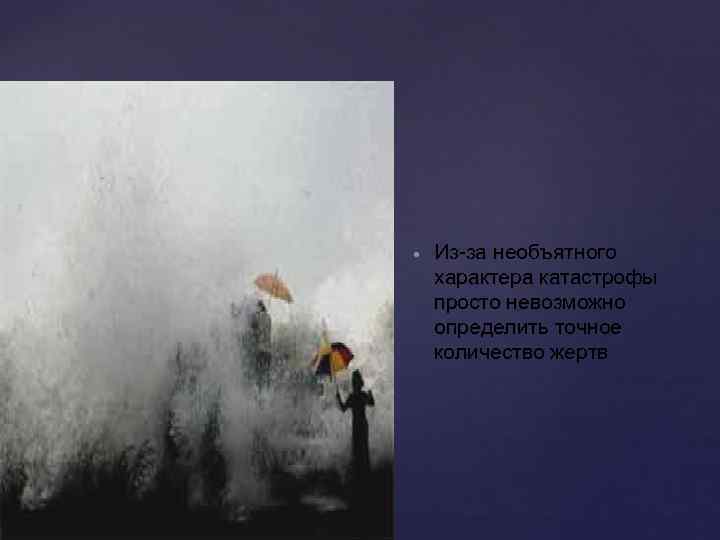  Из-за необъятного характера катастрофы просто невозможно определить точное количество жертв 