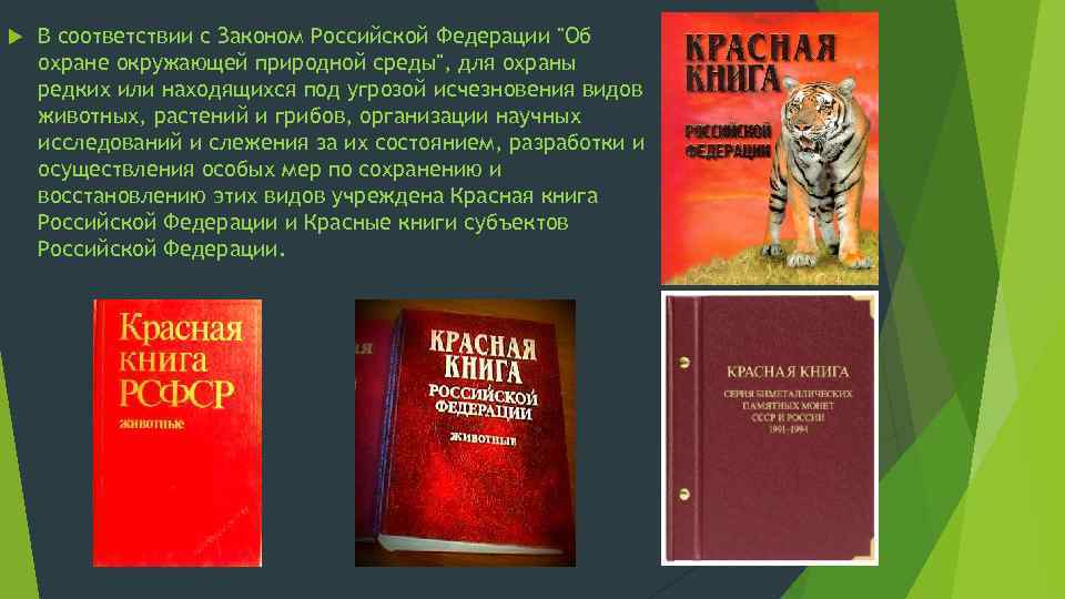  В соответствии с Законом Российской Федерации "Об охране окружающей природной среды", для охраны