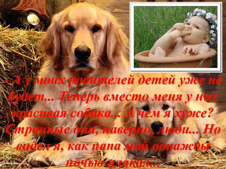 - А у моих родителей детей уже не будет. . . Теперь вместо меня