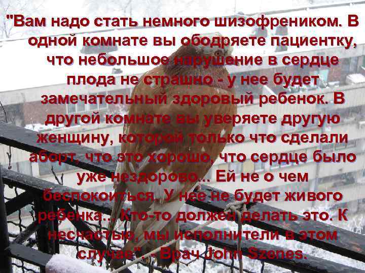 "Вам надо стать немного шизофреником. В одной комнате вы ободряете пациентку, что небольшое нарушение