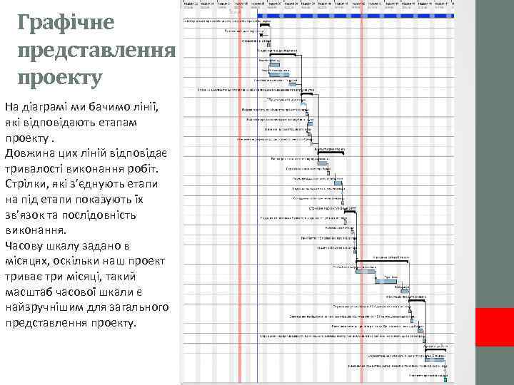 Графічне представлення проекту На діаграмі ми бачимо лінії, які відповідають етапам проекту. Довжина цих