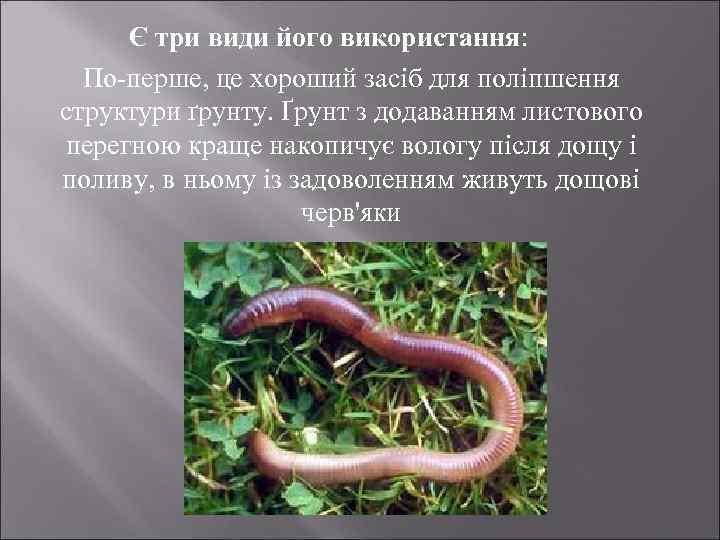 Є три види його використання: По-перше, це хороший засіб для поліпшення структури ґрунту. Ґрунт