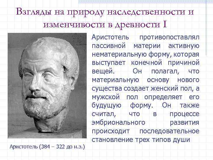 Взгляды на природу наследственности и изменчивости в древности I Аристотель (384 – 322 до