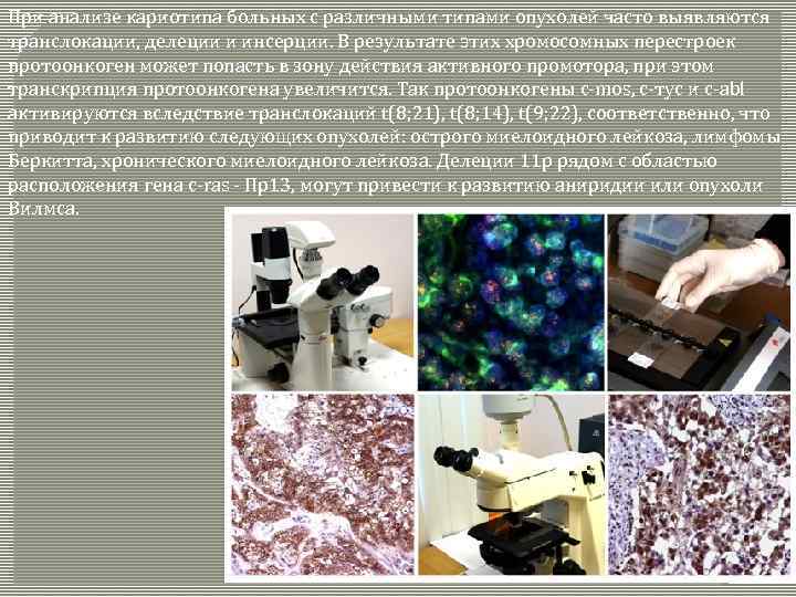 При анализе кариотипа больных с различными типами опухолей часто выявляются транслокации, делеции и инсерции.