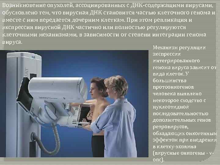Возникновение опухолей, ассоциированных с ДНК-содержащими вирусами, обусловлено тем, что вирусная ДНК становится частью клеточного