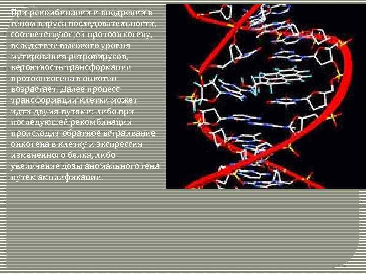 При рекомбинации и внедрении в геном вируса последовательности, соответствующей протоонкогену, вследствие высокого уровня мутирования