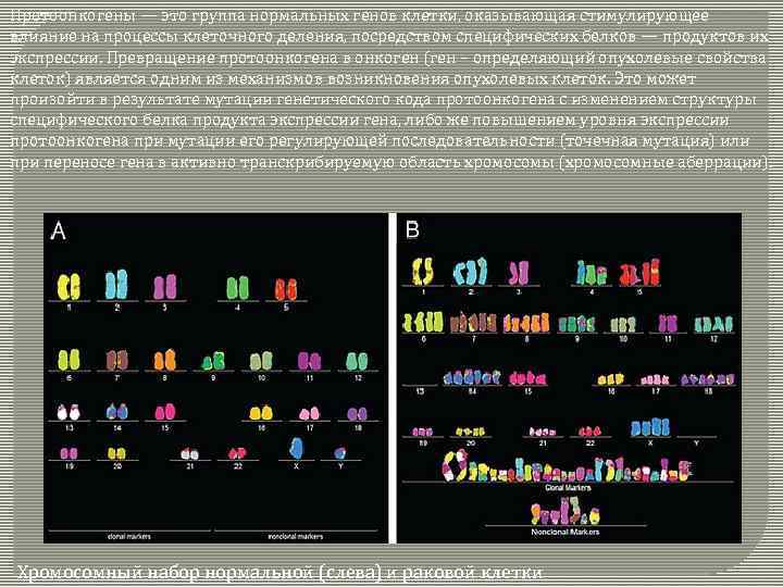 Протоонкогены — это группа нормальных генов клетки, оказывающая стимулирующее влияние на процессы клеточного деления,