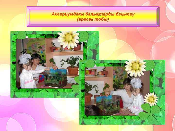 Аквариумдағы балықтарды бақылау (ересек тобы) 