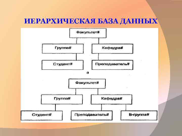 ИЕРАРХИЧЕСКАЯ БАЗА ДАННЫХ 