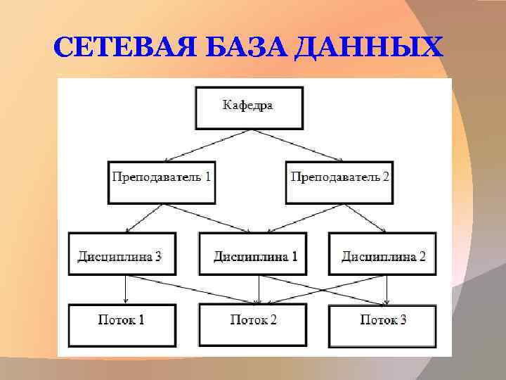 СЕТЕВАЯ БАЗА ДАННЫХ 