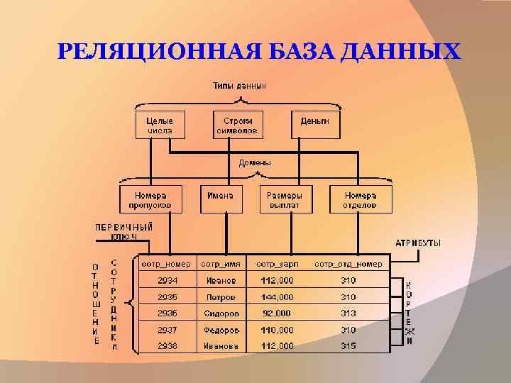 Основные типы полей реляционных баз