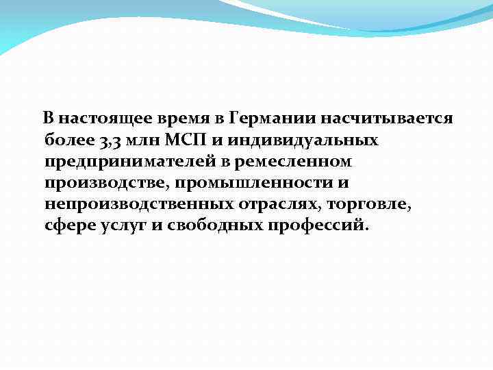  В настоящее время в Германии насчитывается более 3, 3 млн МСП и индивидуальных
