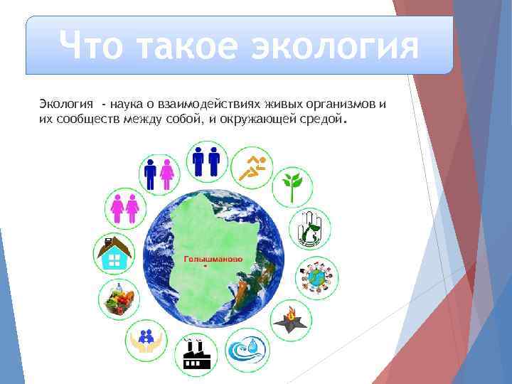 Экология 2017 г. Экология. Экология это наука о взаимодействии живых организмов и их сообществ. Год экологии в России. Что такое наука взаимодействиях живых.