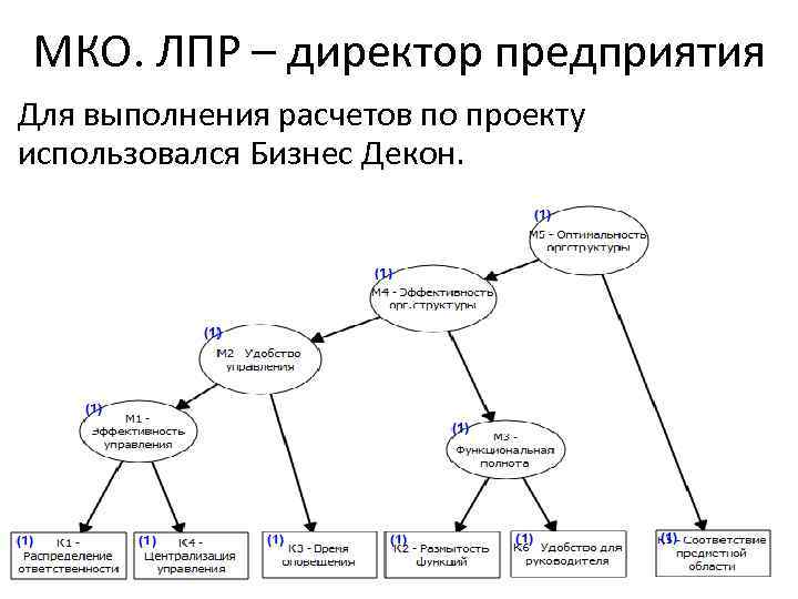 МКО. ЛПР – директор предприятия Для выполнения расчетов по проекту использовался Бизнес Декон. 