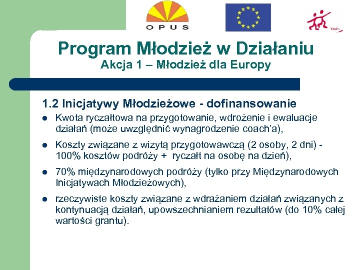 Program Młodzież w Działaniu Akcja 1 – Młodzież dla Europy 1. 2 Inicjatywy Młodzieżowe
