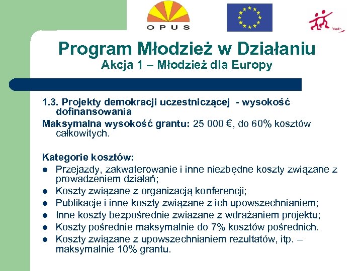 Program Młodzież w Działaniu Akcja 1 – Młodzież dla Europy 1. 3. Projekty demokracji