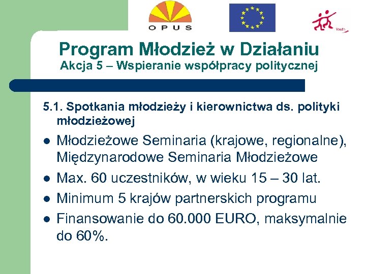 Program Młodzież w Działaniu Akcja 5 – Wspieranie współpracy politycznej 5. 1. Spotkania młodzieży