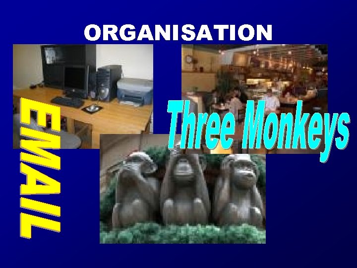 ORGANISATION • EMAIL • 3 MONKEYS COFFEE SHOP 