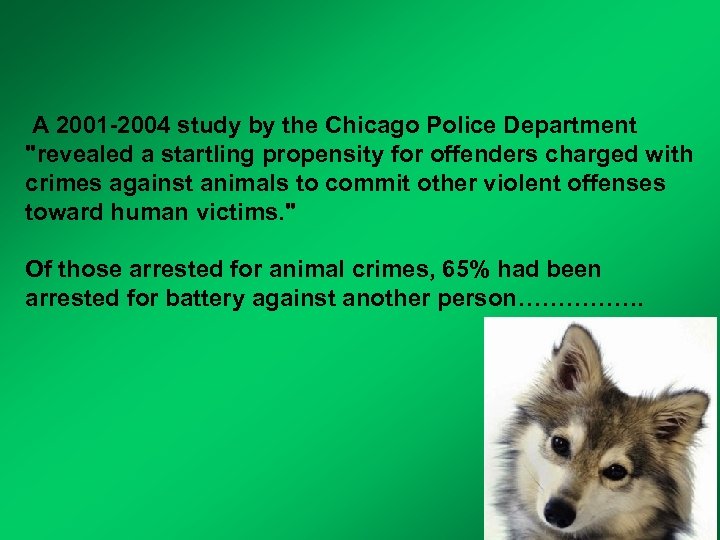  A 2001 -2004 study by the Chicago Police Department "revealed a startling propensity