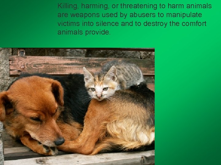 Killing, harming, or threatening to harm animals are weapons used by abusers to manipulate