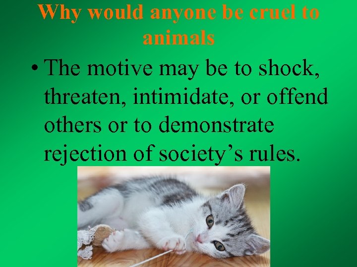 Why would anyone be cruel to animals • The motive may be to shock,