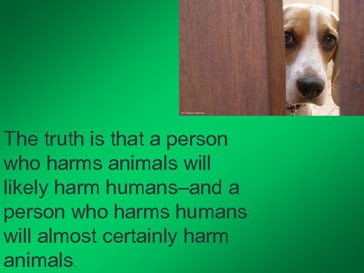The truth is that a person who harms animals will likely harm humans–and a