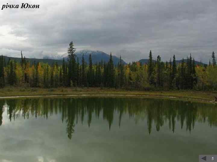 річка Юкон 5 