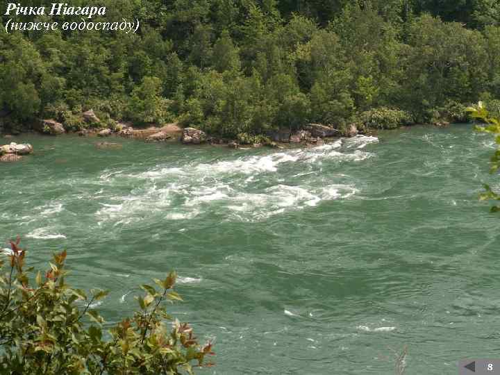 Річка Ніагара (нижче водоспаду) 8 