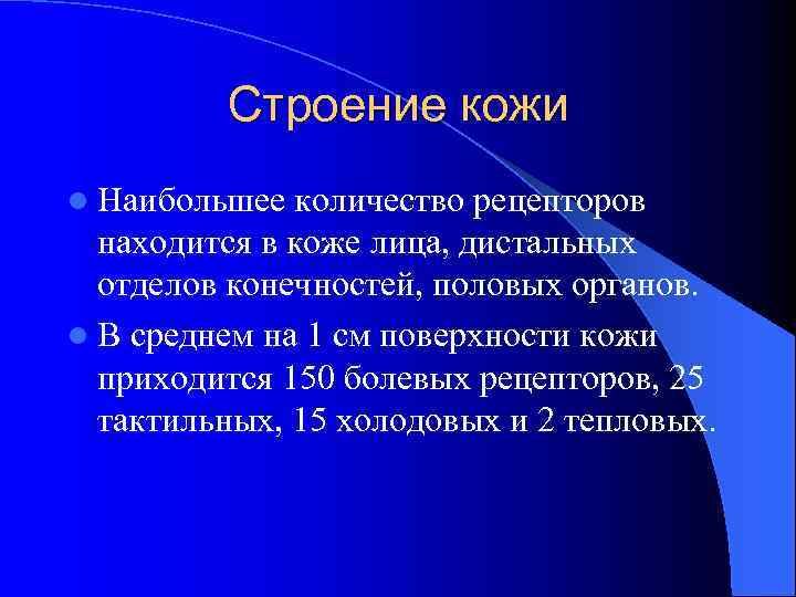 Строение кожи l Наибольшее количество рецепторов находится в коже лица, дистальных отделов конечностей, половых