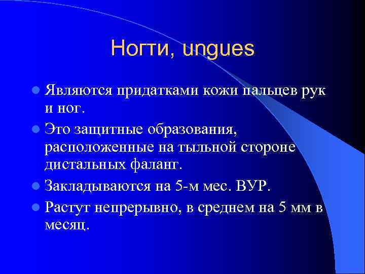 Ногти, ungues l Являются придатками кожи пальцев рук и ног. l Это защитные образования,