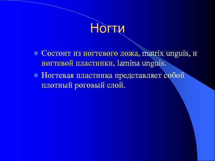 Ногти Состоит из ногтевого ложа, matrix unguis, и ногтевой пластинки, lamina unguis. l Ногтевая