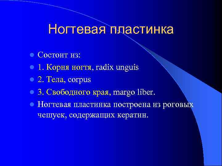 Ногтевая пластинка l l l Состоит из: 1. Корня ногтя, radix unguis 2. Тела,