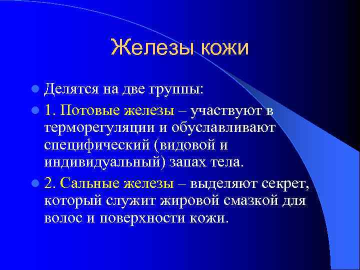 Железы кожи l Делятся на две группы: l 1. Потовые железы – участвуют в