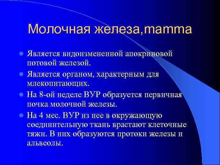 Молочная железа, mamma Является видоизмененной апокриновой потовой железой. l Является органом, характерным для млекопитающих.