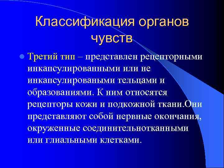 Классификация органов чувств l Третий тип – представлен рецепторными инкапсулированными или не инкапсулироваными тельцами