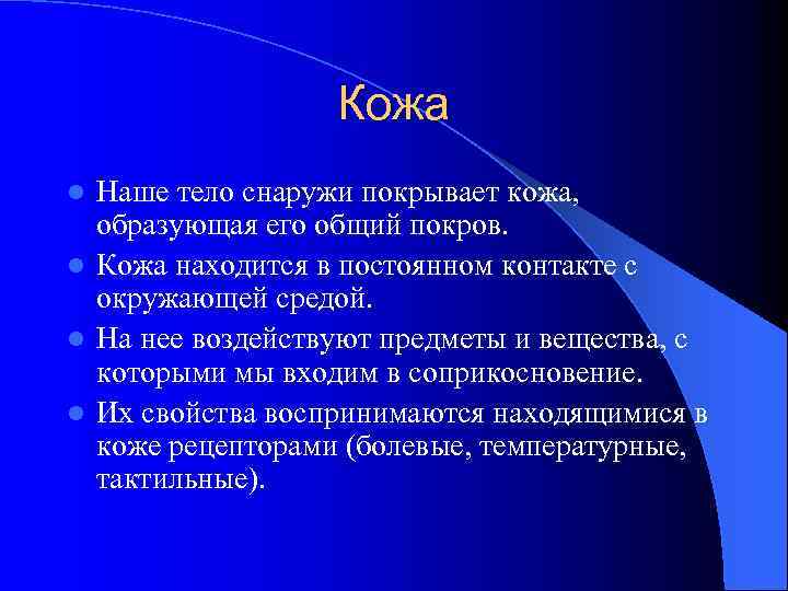 Кожа Наше тело снаружи покрывает кожа, образующая его общий покров. l Кожа находится в