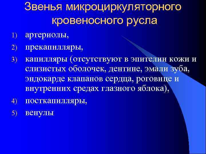 Звенья микроциркуляторного кровеносного русла 1) 2) 3) 4) 5) артериолы, прекапилляры, капилляры (отсутствуют в