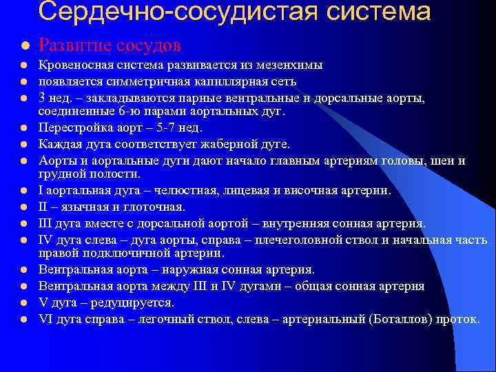 Сердечно-сосудистая система l Развитие сосудов l Кровеносная система развивается из мезенхимы появляется симметричная капиллярная