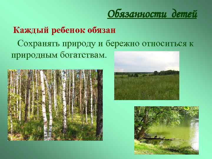 Обязанности детей Каждый ребенок обязан Сохранять природу и бережно относиться к природным богатствам. 