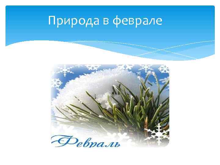 Природа в феврале 