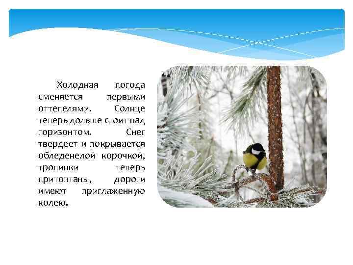  Холодная погода сменяется первыми оттепелями. Солнце теперь дольше стоит над горизонтом. Снег твердеет